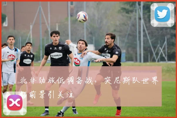 北非劲旅低调备战，突尼斯队世界杯前景引关注 - 彩客网推荐