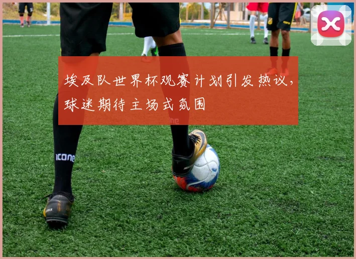 埃及队世界杯观赛计划引发热议，球迷期待主场式氛围 - 彩客网推荐
