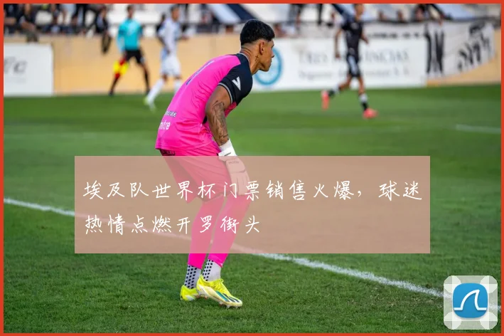 埃及队世界杯门票销售火爆，球迷热情点燃开罗街头 - 彩客网推荐