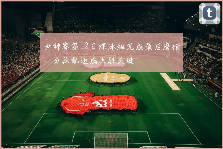 世锦赛第12日蝶泳组完成最后磨枪，分段配速成决胜关键 - 彩客网推荐